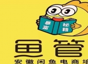 闲鱼2024财年减碳数据发布 用户累计减碳659.4万吨