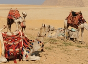 爱可声博物馆AI数字人导览：创新引领古埃及文明大展新体验