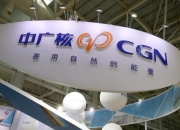 中国广核公布国际专利申请：“一种核反应堆”