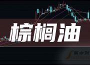 7月26日棕榈油期货持仓龙虎榜分析：多空双方均呈进场态势