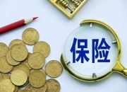 人保财险 ,人保有温度_2024年冶金矿山机械行业发展现状及未来市场趋势展望