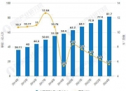 2024年中国手机行业的市场发展现状及投资风险分析_人保车险,人保护你周全