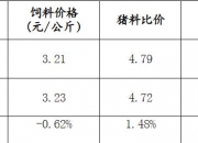 个人护理电器行业市场竞争状况及未来发展前景研究分析2024_人保财险 ,人保护你周全