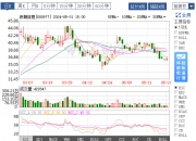 三祥新材(603663.SH)：收到全资子公司分红款600万元