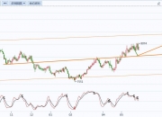 7月31日菜籽油期货持仓龙虎榜分析：菜籽油期货主力处于净空头状态