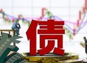 6月全国地方政府债券发行新增3731亿元