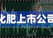 电气风电： 公司2024年一季度综合毛利率为19.97%