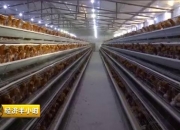 兰州黄河：截至2024年7月31日，公司股东总户数23416户，机构总户数1274户