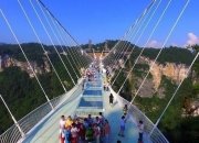 张家界：张家界景区门票收入不属于上市公司