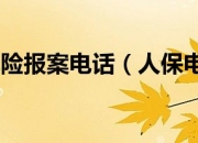 中国院前急救(EMS)行业市场深度分析与投资前景预测_人保车险   品牌优势——快速了解燃油汽车车险,人保服务