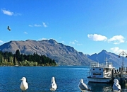 海顺新材(300501.SZ)：累计耗资5995万元回购2.69%股份