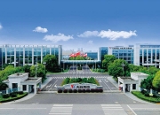 国联证券给予水羊股份买入评级，品牌建设投入加大，阶段性影响利润实现