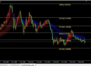 欧元兑美元涨0.5%至1.0966美元，为3月8日以来最高水平