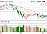 8月5日莱茵体育涨停分析：旅游，体育产业，冰雪产业概念热股