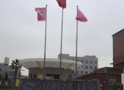 和顺科技(301237.SZ)：累计已回购30万股