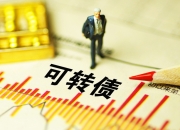 交易所信用（非金）债券6日成交额最高的三只债券为24深铁10、24重发03、21两山01