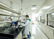 【华证ESG】葫芦娃（605199）获得A评级，行业排名第28