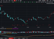 净利下降超四成，半年花了5亿打广告，汤臣倍健股价跌逾8%