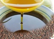 8月8日菜籽油期货持仓龙虎榜分析：多空双方均呈离场态势