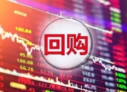 恒生银行(00011.HK)8月9日回购1833.52万港元，年内累计回购25.57亿港元