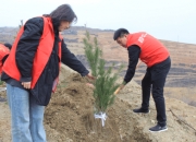 人保伴您前行,人保财险政银保 _共享住宿行业发展现状、前景趋势研究分析