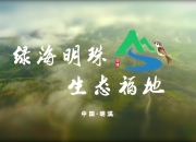 明溪山间的水秀绿海