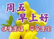 阳光乳业：截止到2024年8月10日我公司股东户数为 22904户