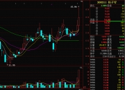 智慧政务概念爆发，税友股份6日斩获5板，任子行等涨停