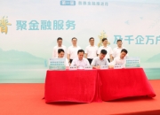 人保服务 ,人保车险_担保行业政策环境、市场现状及未来趋势预测