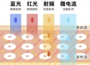 海外美容品类增长亮眼 产业带卖家在SHEIN年销千万全速出海