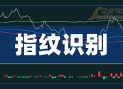 深交所：星星科技近6个交易日累涨101.18% 自然人买入占比达90.67%
