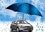 人保车险   品牌优势——快速了解燃油汽车车险,人保护你周全_空气清新器行业发展现状及未来市场展望2024