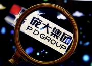 汉商集团（600774）2024年中报简析：净利润减82.35%