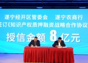 酒店行业上半年业绩向好 2024酒店行业市场现状分析_保险有温度,人保财险政银保 