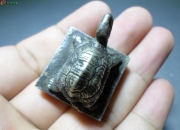 甘肃发现中国首道龟类行迹和首组龟鸟共生足迹组合