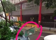 台风破坏之强，超乎想象！“摩羯”已致海南4人遇难，95人受伤