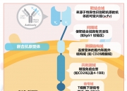 9月13日海南海药涨停分析：CAR-T疗法，央企改革，自贸区概念热股
