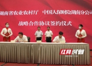 人保车险,人保财险政银保 _公共建筑装修行业市场结构、竞争格局及未来发展前景分析
