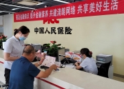 2024年蔬菜育苗行业现状调研及未来市场趋势分析_人保服务 ,人保车险
