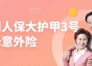 2024油气管道工程行业市场前瞻与未来投资战略分析_人保车险   品牌优势——快速了解燃油汽车车险,人保财险 