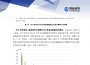 金融化债：模式、问题、建议