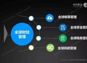 华友钴业：公司已建立财务共享中心，并持续推进财务数字化转型