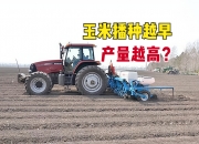 北京春玉米单产刷新历史纪录