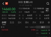 （2024年9月23日）今日生猪期货最新价格查询