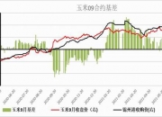 （2024年9月25日）今日小麦期货和美小麦价格行情查询