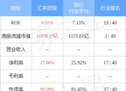 农村遍地是银行家，印度股市渐渐狂热
