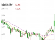 博晖创新(300318.SZ)：控股孙公司终止相关冻干人用狂犬病疫苗(无血清Vero细胞)项目合作合同及药物临床试验