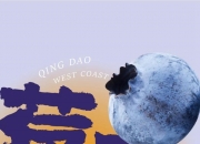中国蓝莓行业市场深度分析及投资战略研究_人保车险   品牌优势——快速了解燃油汽车车险,人保车险