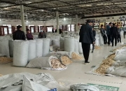 红枣盘面破位下跌 传统淡季市场购销较清淡