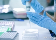 南新制药： 公司帕拉米韦吸入溶液项目临床三期试验正在按计划准备推进中